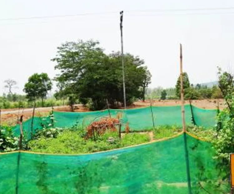 Story 3: Nutrition Garden – Practical pathway for address malnutrition