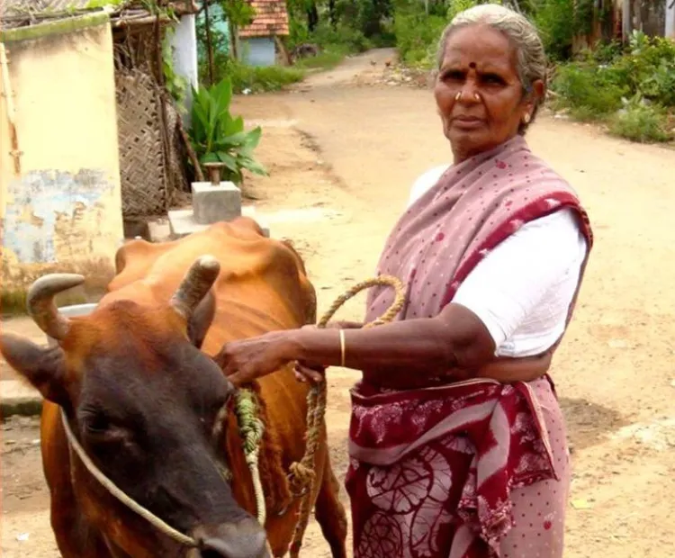 Enhancing Livelihoods of Rural Women