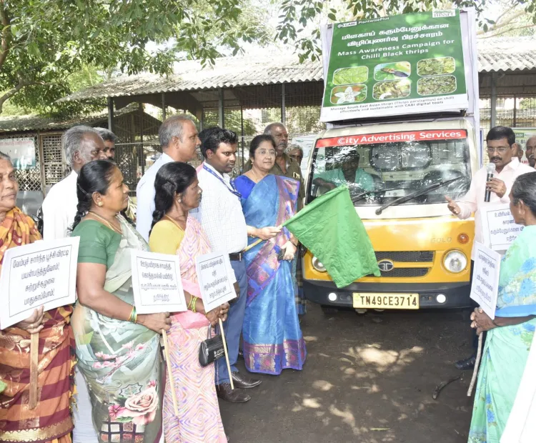 MSSRF and CABI’s joint efforts on a Mass Awareness Campaign for South Asian Black Thrips in Chilli using CABI digital tools
