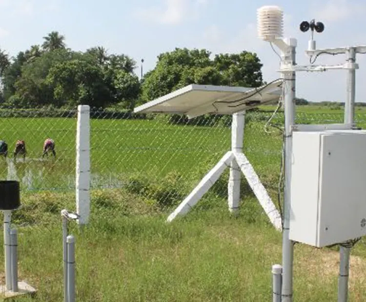 GIS-based forewarning system helping farmers resist pests