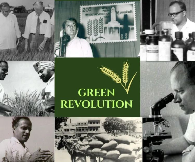 Principal Architect of the Green Revolution