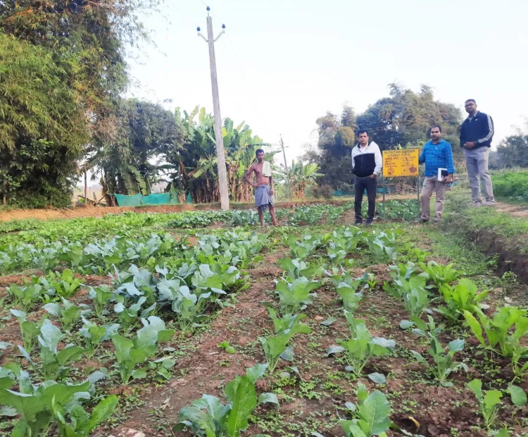 Nodal Officer of NGDD Project visit MSSRF field sites