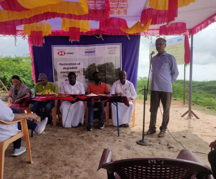 Mangrove Restoration project inaugurated in Muthupet, Tamil Nadu
