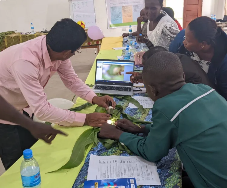 Promoting the System of Rice Intensification method among Tanzania scientists