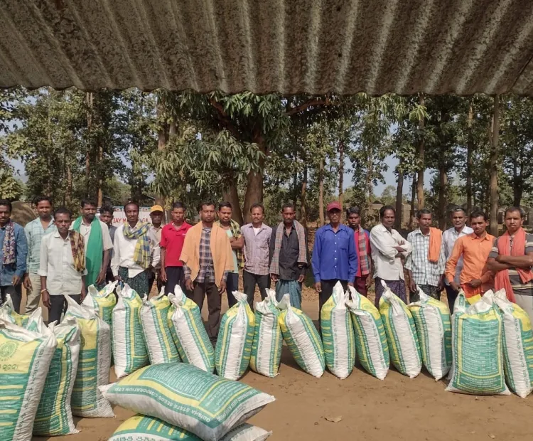 151 farmers benefit from groundnut foundation seed support