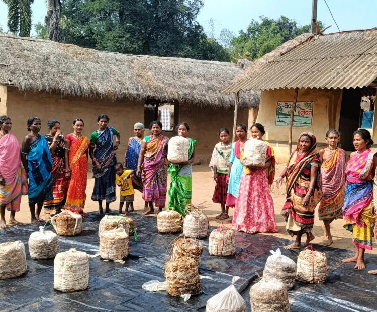 150 women from 13 SHGs receive mushroom spawns