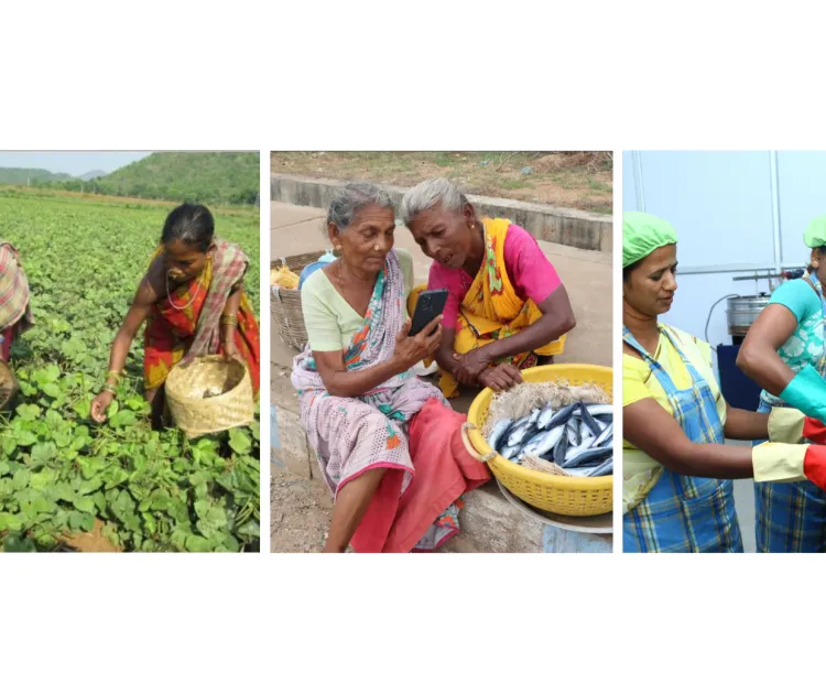 Bad Statistics Underestimate Rural Women’s Contributions to Agriculture