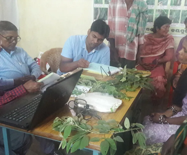 Save crops with ‘Plant Clinics’ – Now Open in Odisha