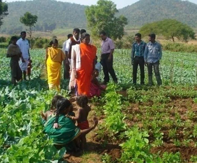 Inception of New Projects in Koraput District of Odisha under the auspices of MSSRF Regional Centre, Jeypore
