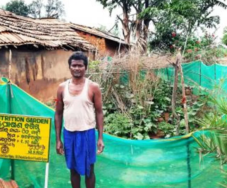Koraput: Backyard Nutrition Garden is the way forward to counter malnutrition