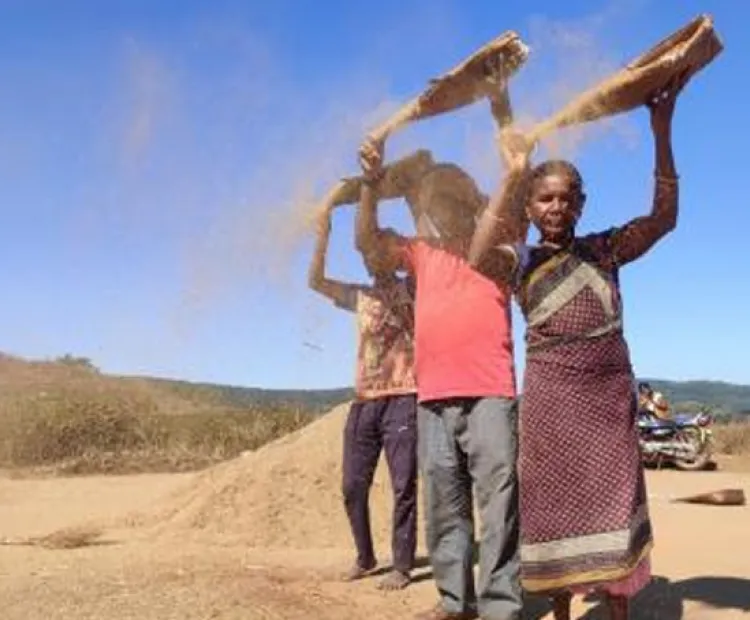 Story 4: How e-marketing enabled Hill brooms collecting tribal women to access market