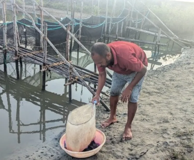 "Harvesting Hope: Samidurai's Journey in Seabass Cage Farming"