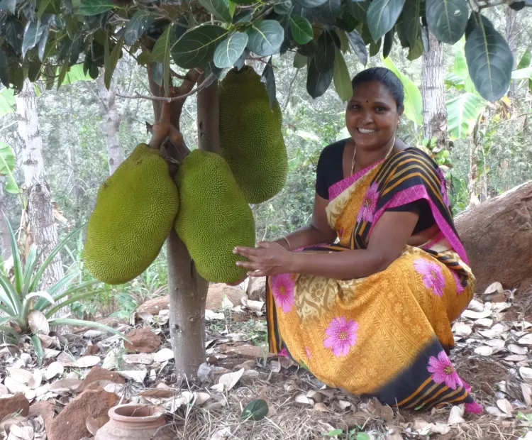 Improving the lives of Malayali tribes in Eastern Ghats