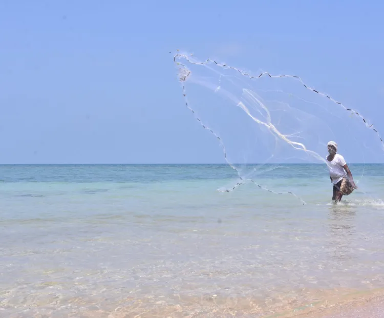 Protecting marine animals and fishermen with FFMA