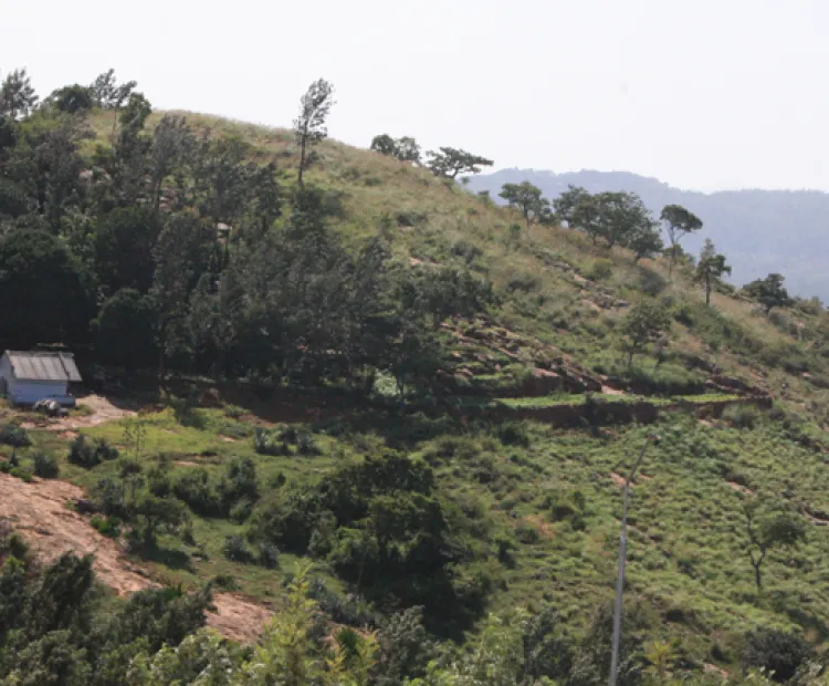 Kolli Hills, 70 hairpin bends and a wealth of wisdom
