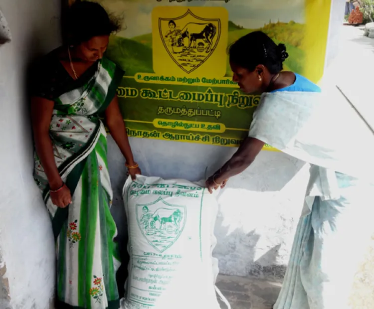 Collective feed procurement by women dairy farmers reaps rewards