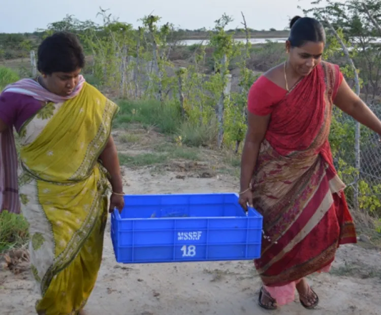 Empowering coastal rural women through fish culture