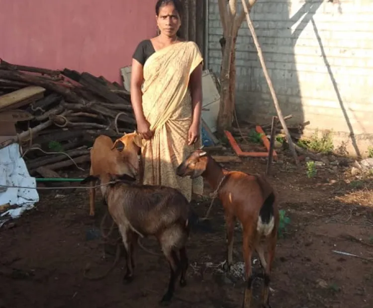 How collectives are improving the livelihoods and well-being of single women: learning from Puducherry