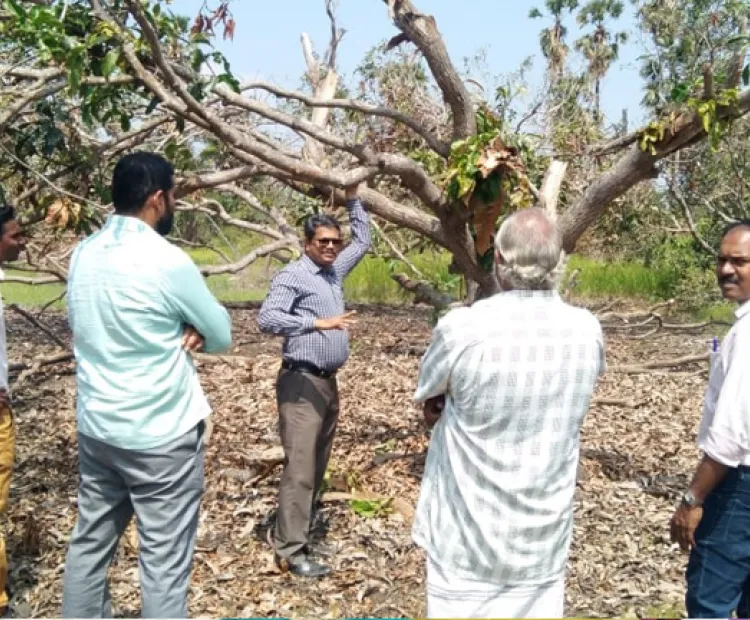 Agronomic rehabilitation measures of ‘Gaja’ affected regions in Nagapattinam and Thanjavur Districts