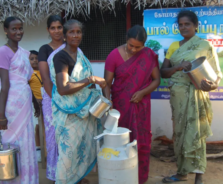 Support empowerment of women through Dairy Farming