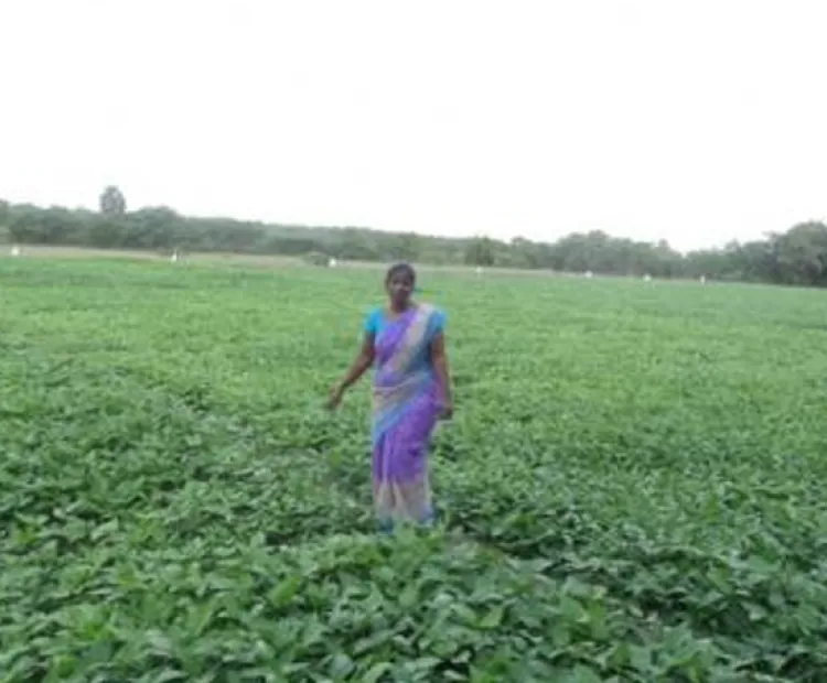 Mailam block: MSSRF’s intervention transformed water-scarce to water abundant