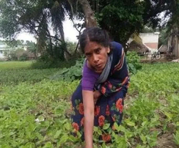 Post Covid-19 – Agriculture work and women