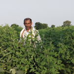  Rajendra Patil in Shirdane village